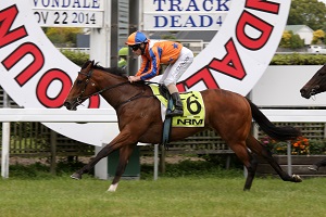 Windborne Avon Trish Web